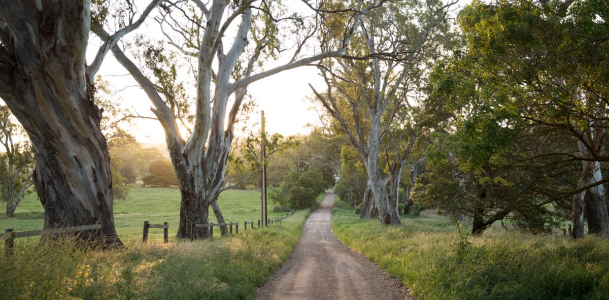 SA Listings Sales Team partners with Newenham Adelaide&nbsp;Hills